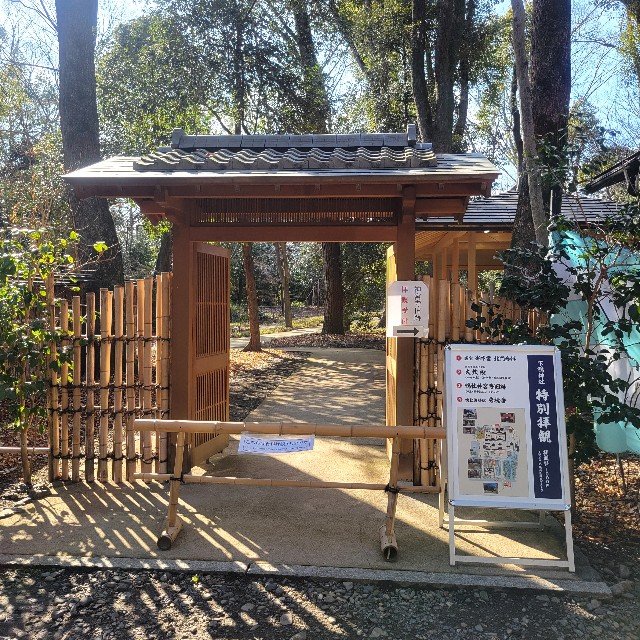 f:id:atoriatoriatori:20250305160008j:image