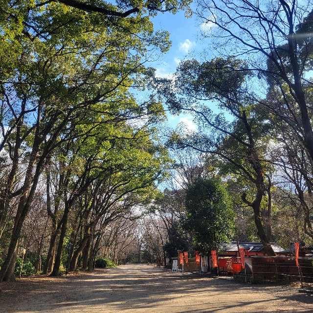 f:id:atoriatoriatori:20250305163738j:image