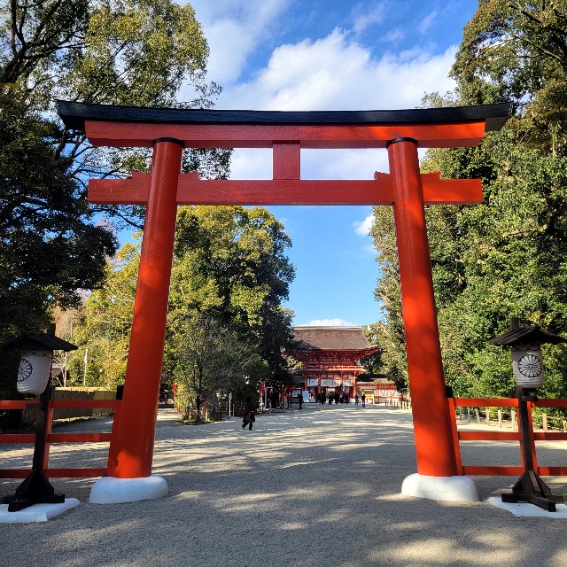 f:id:atoriatoriatori:20250305210101j:image
