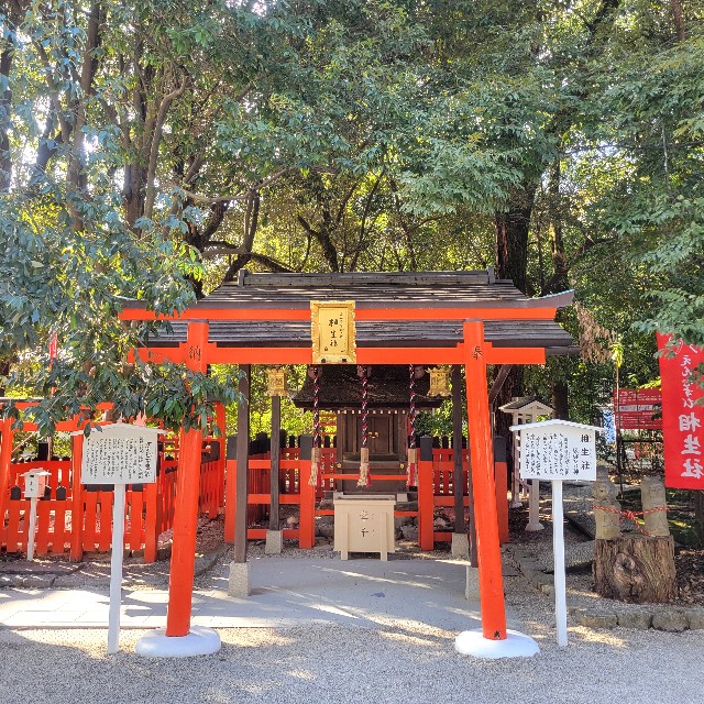 f:id:atoriatoriatori:20250305210509j:image