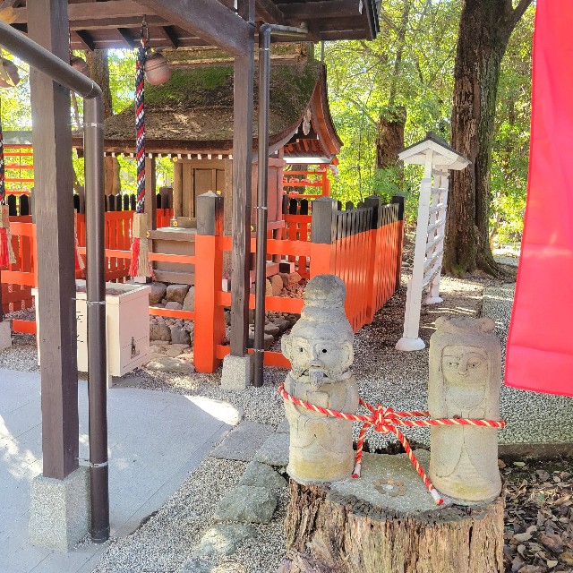 f:id:atoriatoriatori:20250305210517j:image