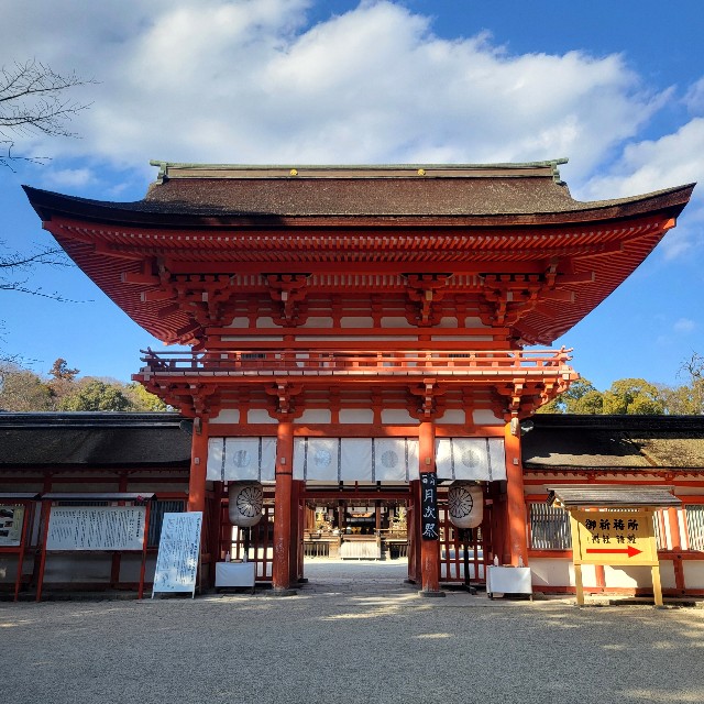 f:id:atoriatoriatori:20250305211807j:image