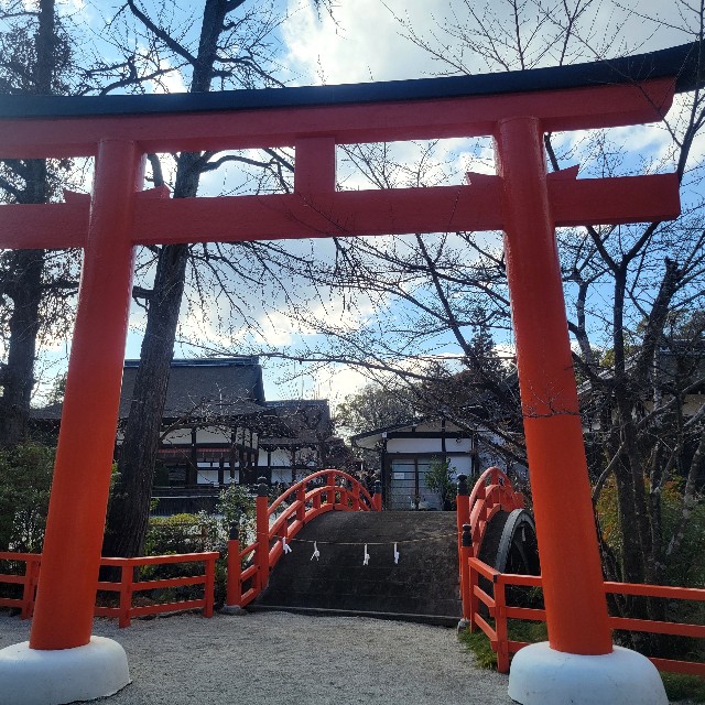 f:id:atoriatoriatori:20250305212624j:image