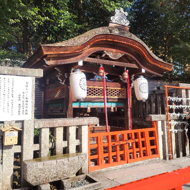 f:id:atoriatoriatori:20250305215322j:image
