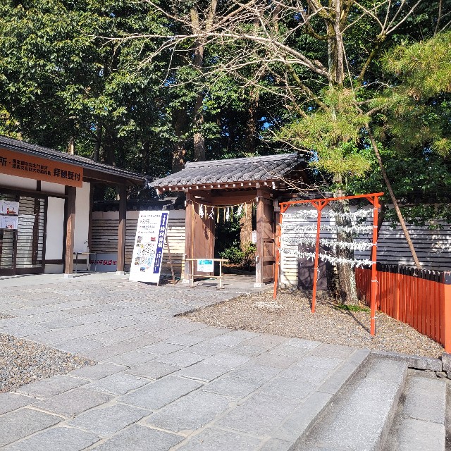 f:id:atoriatoriatori:20250305215331j:image
