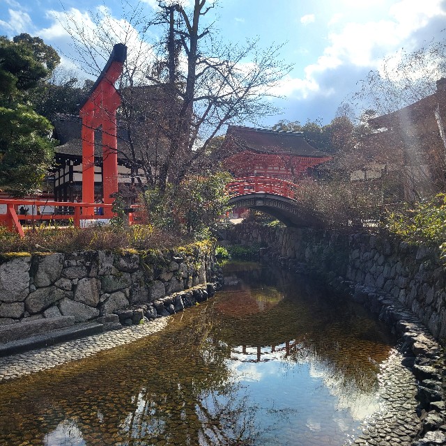 f:id:atoriatoriatori:20250306083926j:image
