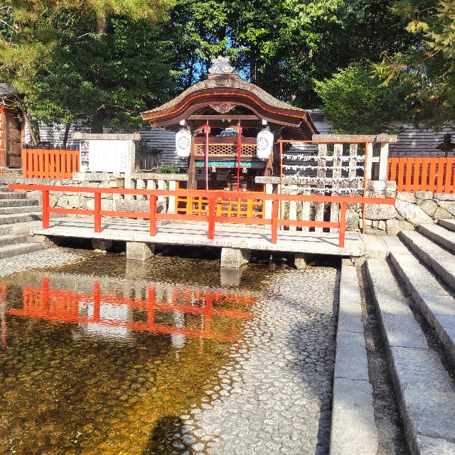 f:id:atoriatoriatori:20250306084327j:image