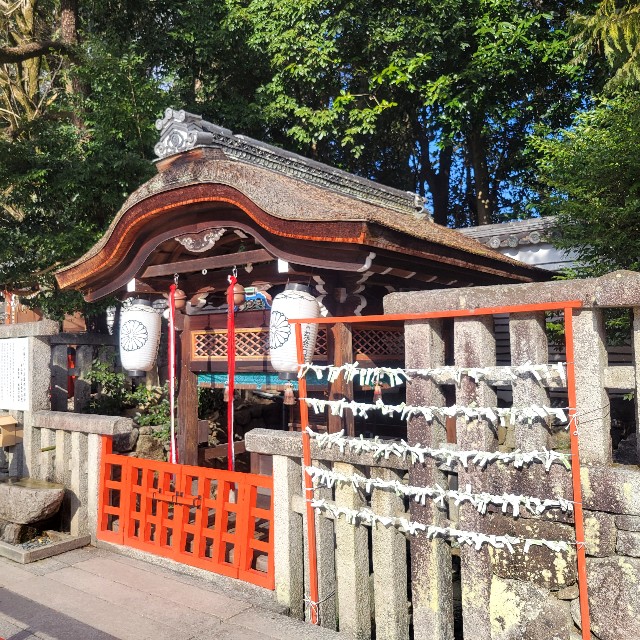 f:id:atoriatoriatori:20250306084351j:image