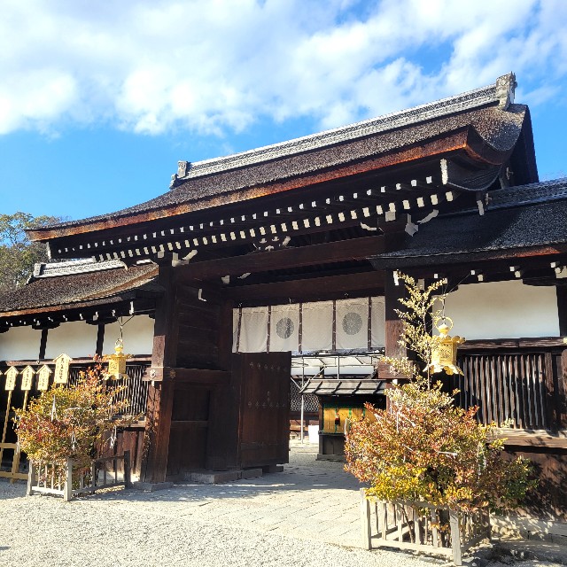 f:id:atoriatoriatori:20250306092829j:image