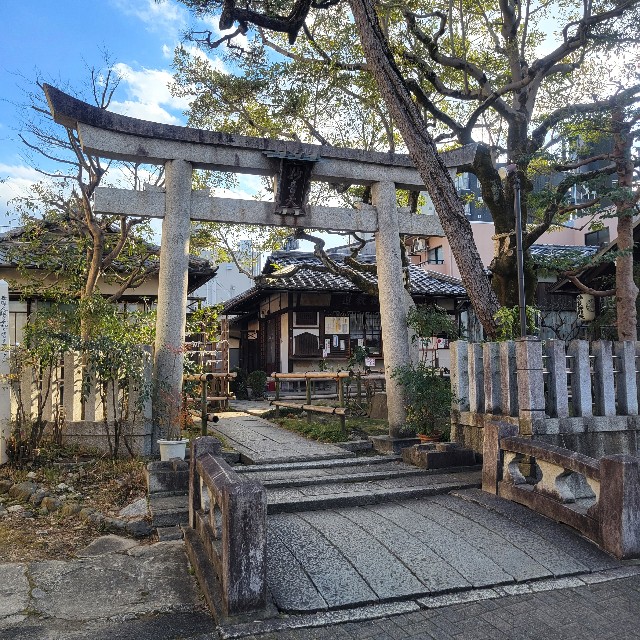 f:id:atoriatoriatori:20250307094105j:image
