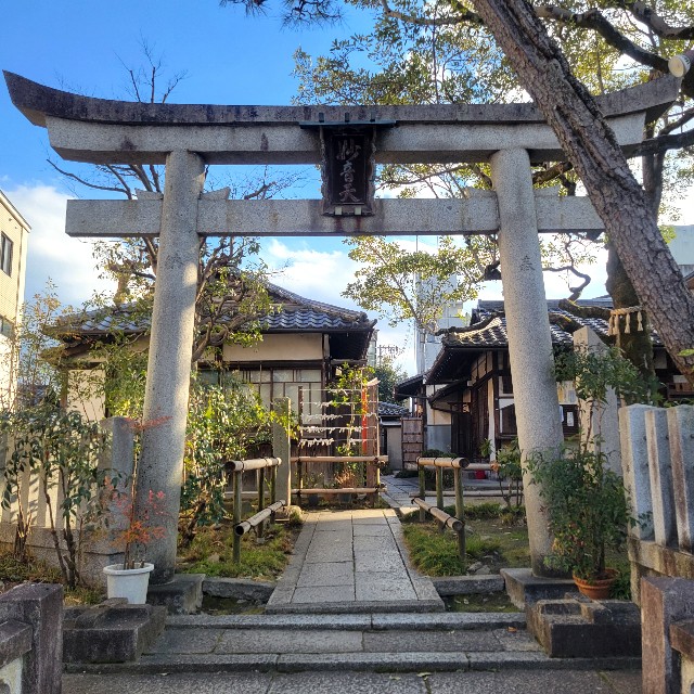 f:id:atoriatoriatori:20250307094122j:image