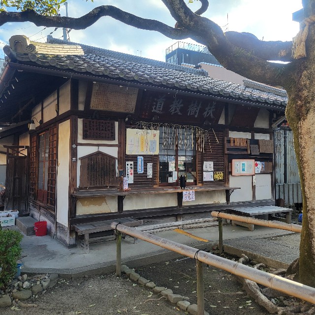 f:id:atoriatoriatori:20250307095102j:image