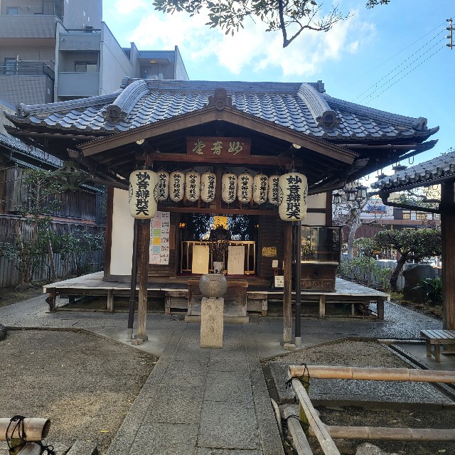 f:id:atoriatoriatori:20250307095202j:image