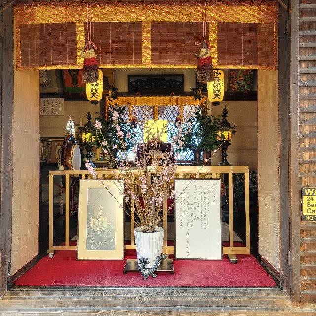 f:id:atoriatoriatori:20250307121945j:image