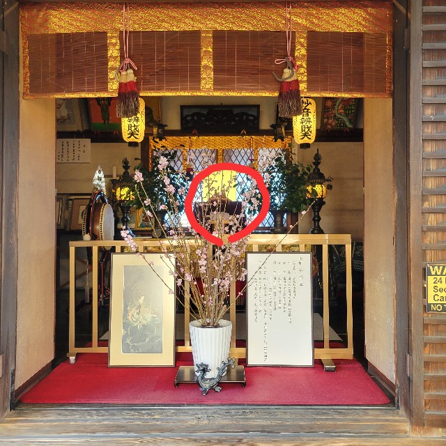 f:id:atoriatoriatori:20250307122125j:image