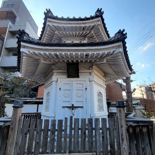 f:id:atoriatoriatori:20250307122908j:image