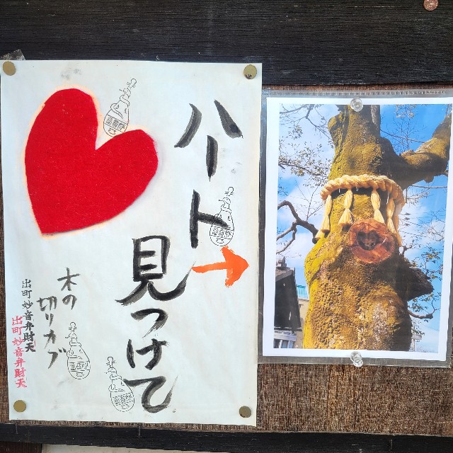 f:id:atoriatoriatori:20250307141642j:image