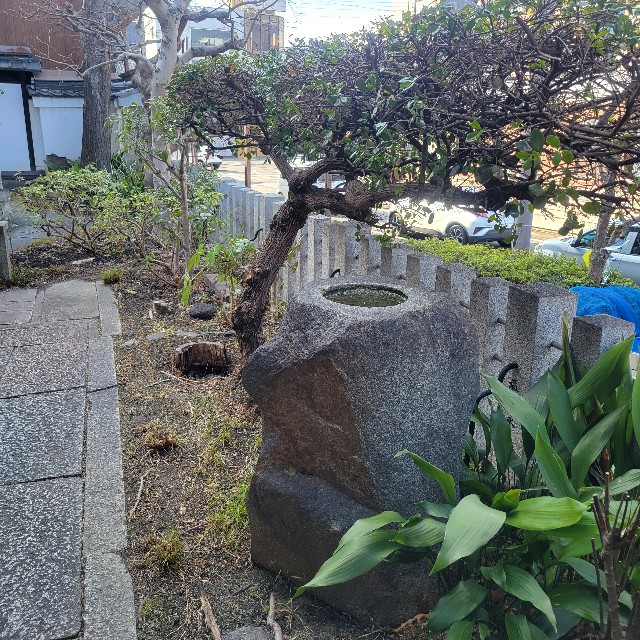 f:id:atoriatoriatori:20250307142048j:image