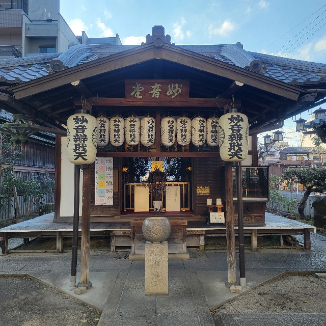 f:id:atoriatoriatori:20250307142528j:image