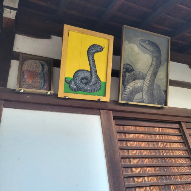 f:id:atoriatoriatori:20250307142645j:image