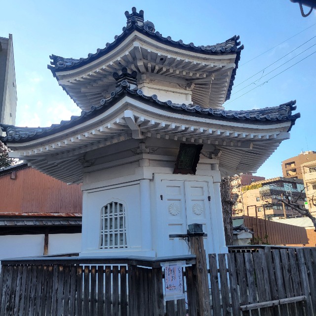 f:id:atoriatoriatori:20250307142741j:image