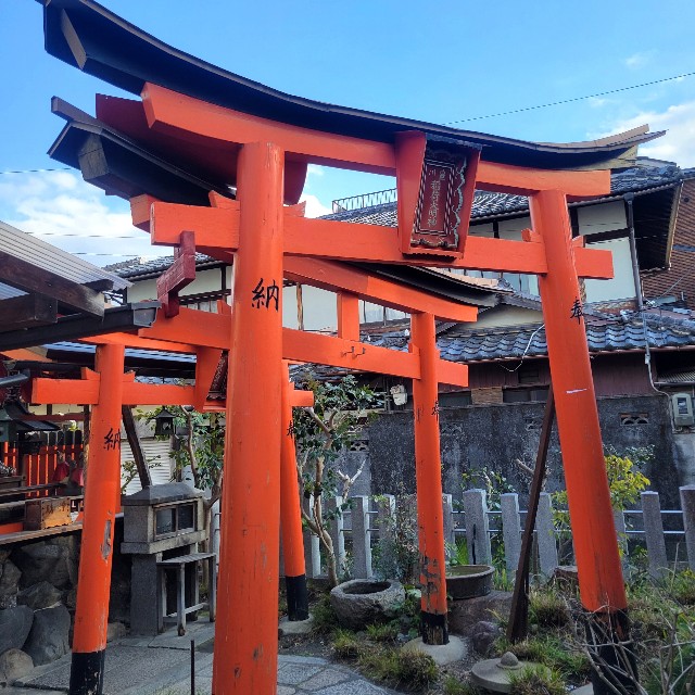 f:id:atoriatoriatori:20250307143813j:image