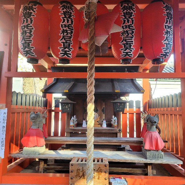 f:id:atoriatoriatori:20250307143829j:image