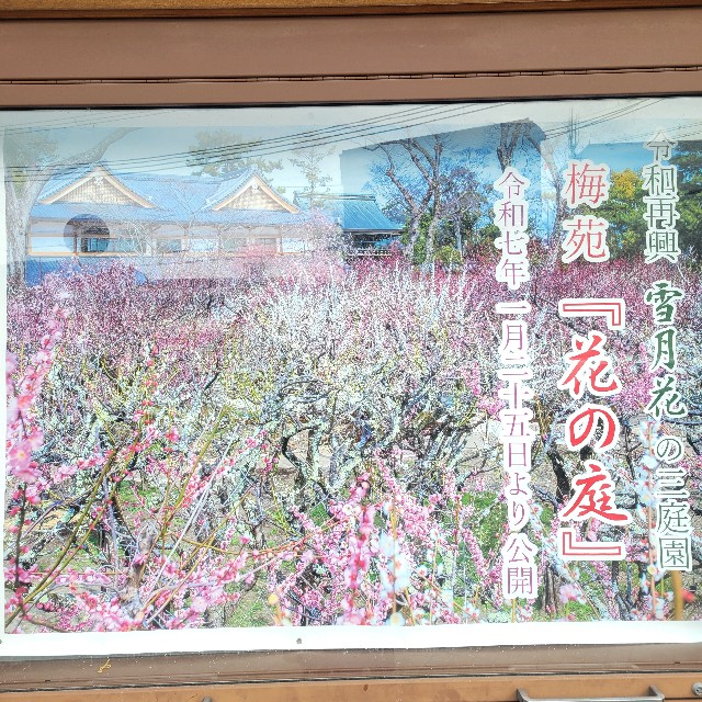 f:id:atoriatoriatori:20250309204742j:image