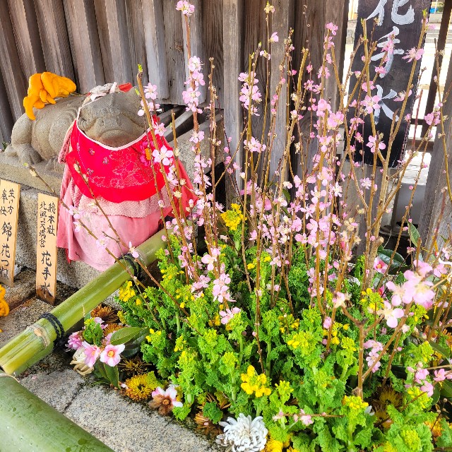 f:id:atoriatoriatori:20250310101645j:image