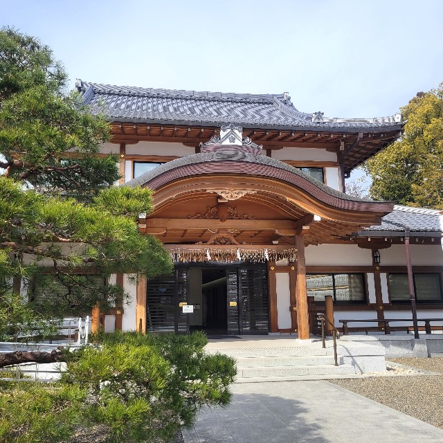 f:id:atoriatoriatori:20250310102643j:image