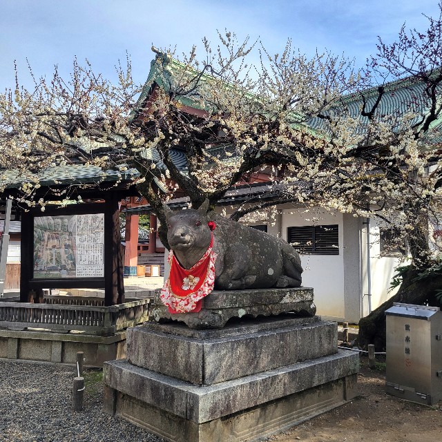f:id:atoriatoriatori:20250310102747j:image