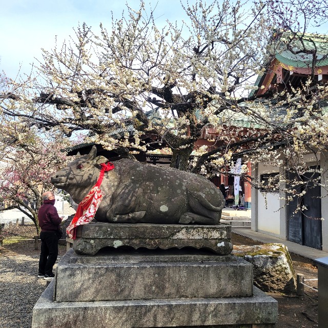 f:id:atoriatoriatori:20250310103505j:image