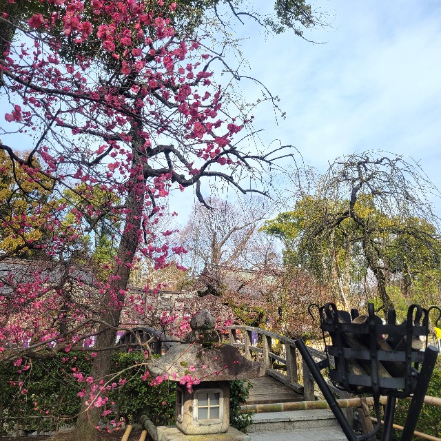f:id:atoriatoriatori:20250310123503j:image