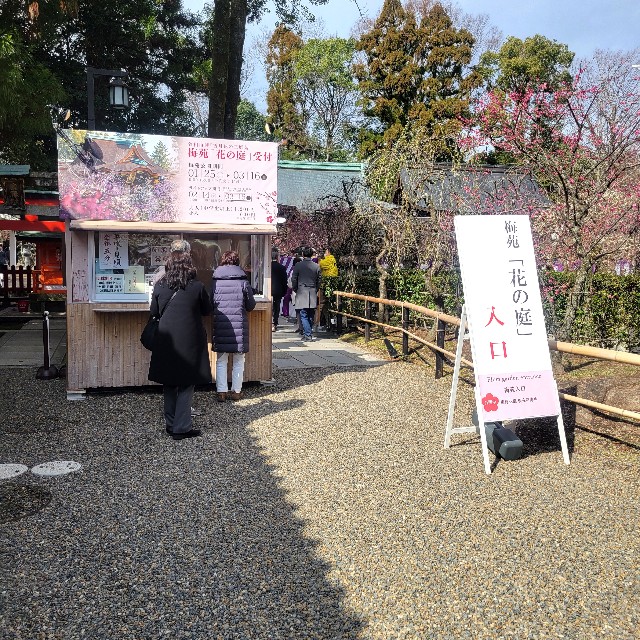 f:id:atoriatoriatori:20250310135546j:image