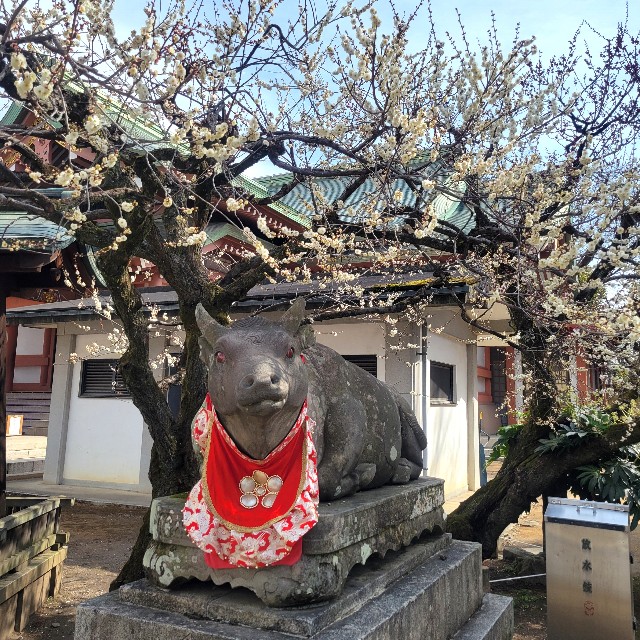 f:id:atoriatoriatori:20250310140032j:image