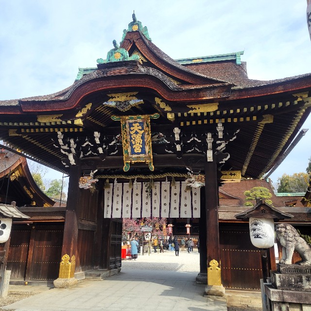 f:id:atoriatoriatori:20250310161513j:image