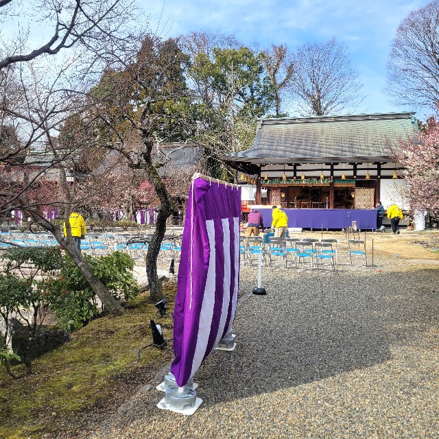 f:id:atoriatoriatori:20250310164709j:image
