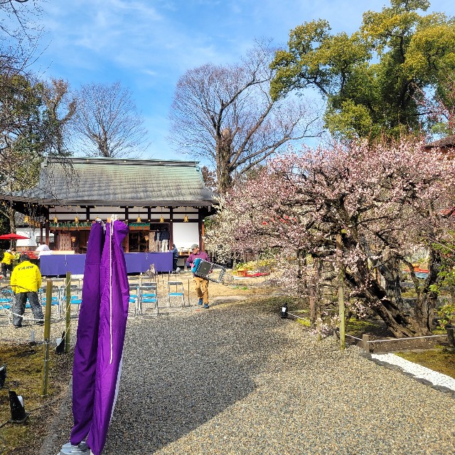 f:id:atoriatoriatori:20250310164717j:image