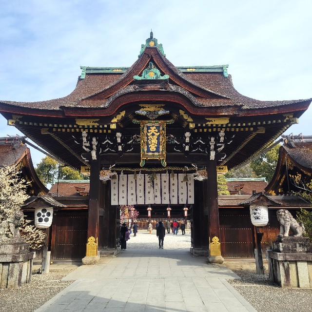 f:id:atoriatoriatori:20250310164847j:image