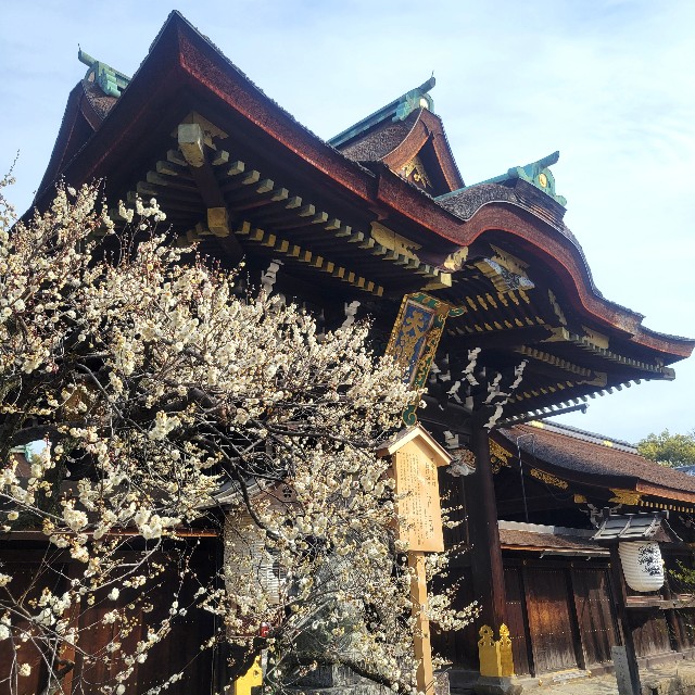 f:id:atoriatoriatori:20250310165337j:image