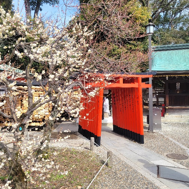f:id:atoriatoriatori:20250310205036j:image