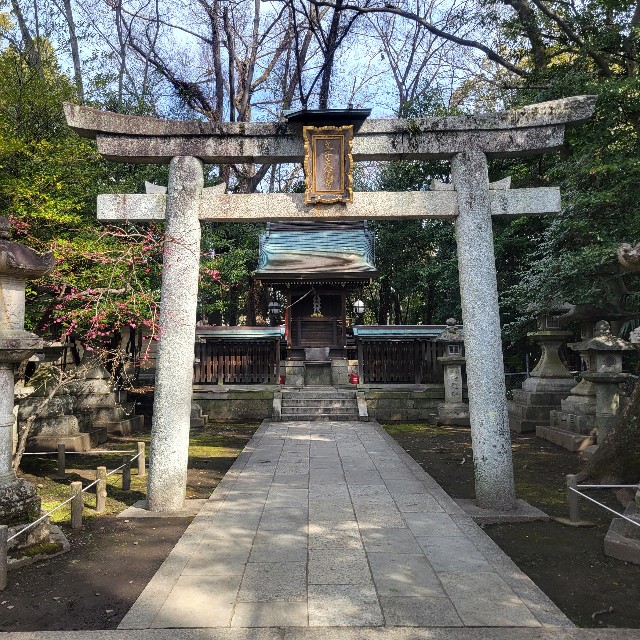 f:id:atoriatoriatori:20250311081607j:image
