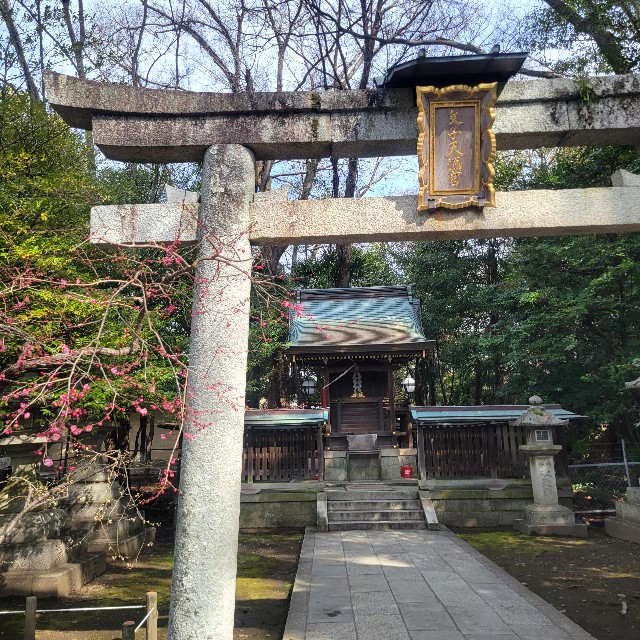 f:id:atoriatoriatori:20250311081616j:image