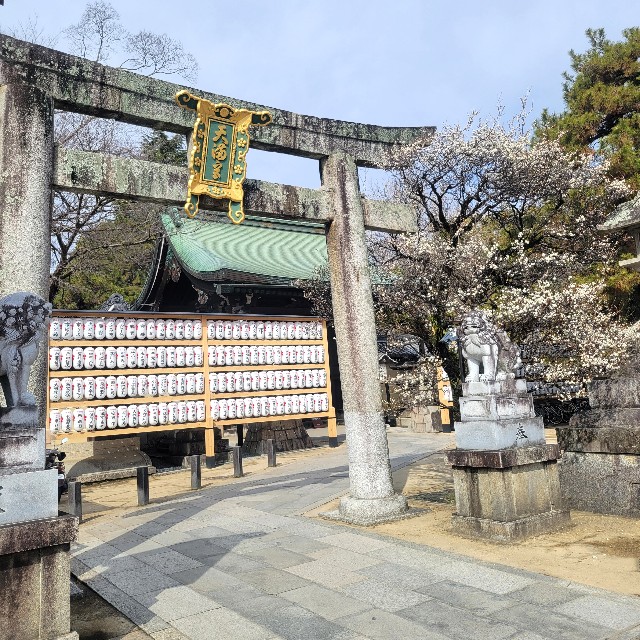 f:id:atoriatoriatori:20250311083119j:image