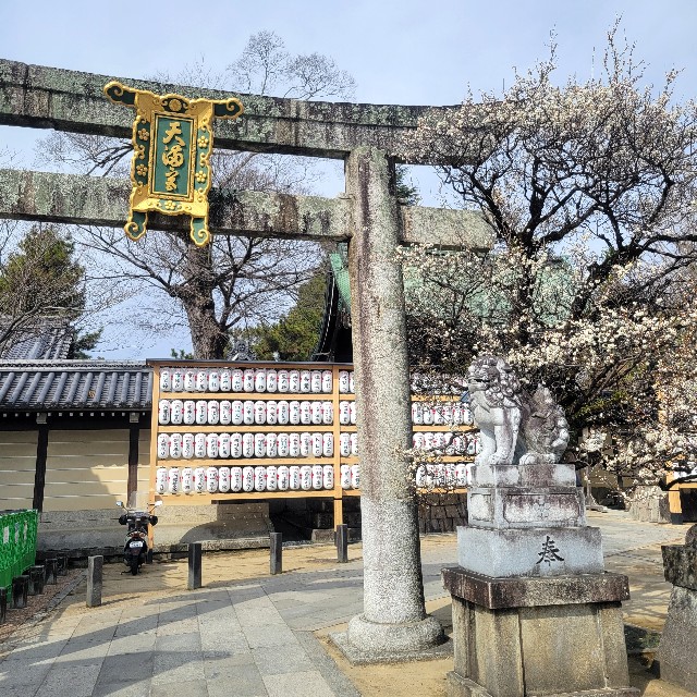 f:id:atoriatoriatori:20250311083129j:image