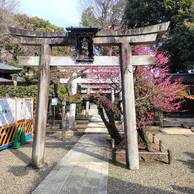 f:id:atoriatoriatori:20250311083820j:image