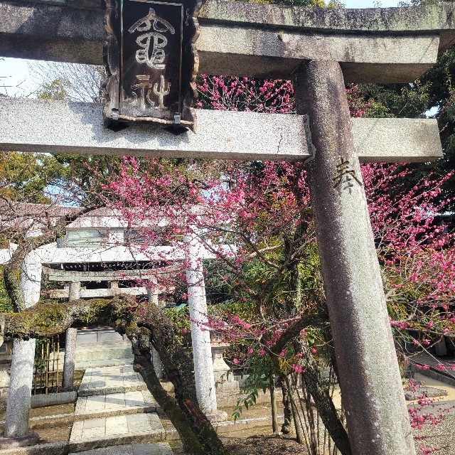 f:id:atoriatoriatori:20250311084015j:image