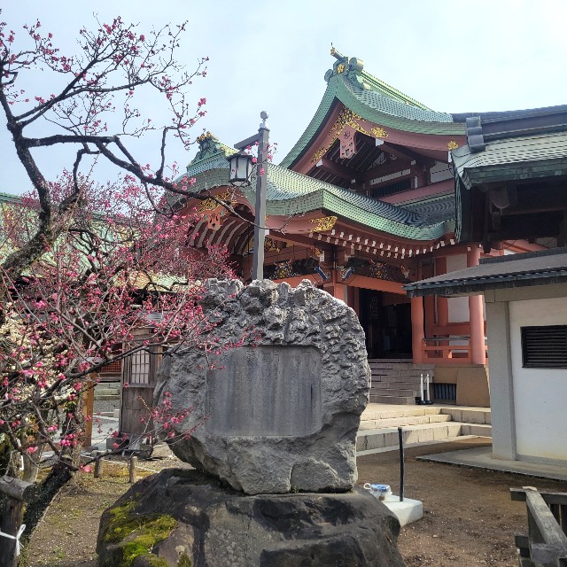 f:id:atoriatoriatori:20250311084659j:image
