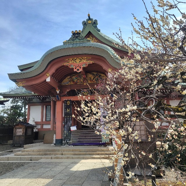 f:id:atoriatoriatori:20250311084716j:image