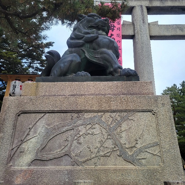 f:id:atoriatoriatori:20250311102630j:image
